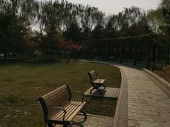 -大兴滨河森林公园