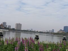 -顺峰山公园