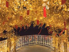 -青龙湖公园
