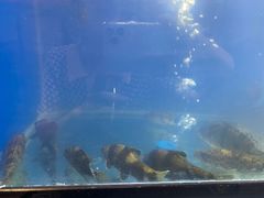 -李东农庄(中南百草园地标店)