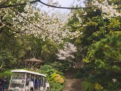 -杭州半山国家森林公园