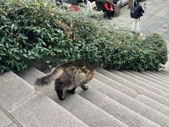 -青岛崂山太清宫
