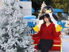 -汕头中海黄金海岸水上乐园