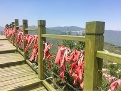 iphone_upload_pic-定都峰