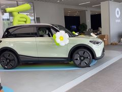 -上海浦东smart汽车全功能店(金桥店)