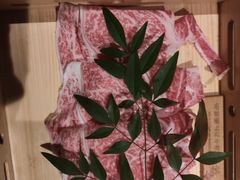 -锦和牛·炭火烧肉(ICC太和里店)