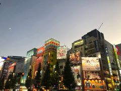 -秋叶原电器街