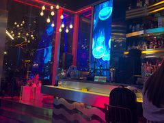 -甜喵酒吧(茂业店)