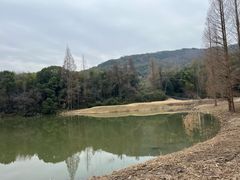 -宝业会稽山高尔夫俱乐部