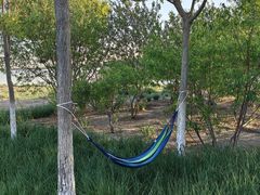 -天津东丽湖风景区