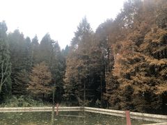 -山王坪喀斯特国家生态公园