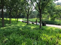 -东郊湿地公园