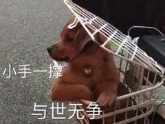 -名创优品(江苏宿迁宝龙城市广场2店)