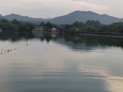 -西湖外事游船(花港观鱼码头)