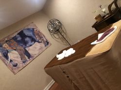 -新蝶变皮肤管理中心