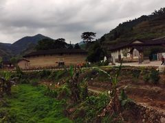 -福建土楼（华安）旅游区•大地土楼群
