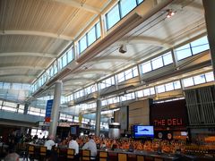 -纽瓦克自由国际机场