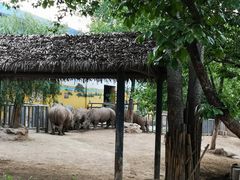 -西安秦岭野生动物园
