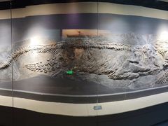 -安徽省地质博物馆