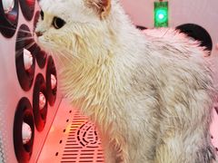 -FAELING PETS美天灵宠物(富力广场店)
