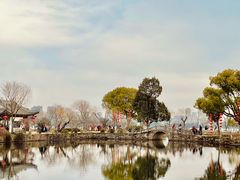 -无锡蠡湖国家湿地公园-蠡园