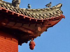 -洛阳白马寺