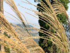 -金堂县云顶石城风景区