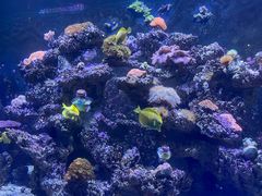 -海合安天津极地海洋公园