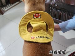 -瑞虹新天地月亮湾