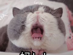 -VR间客漫虚拟现实体验馆(汉街店)