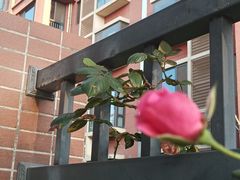 -辣动时代自助小火锅(大庆路店)