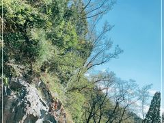 -泰山风景名胜区