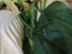 -南门四季铜锅涮肉(左家庄店)