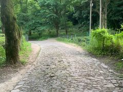 -龙井村