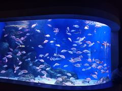 -成都浩海立方海洋公园