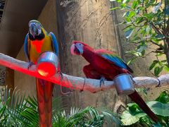 -杭州开元森泊度假乐园