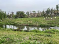 -白鹭湾湿地公园