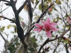 -聚龙山公园