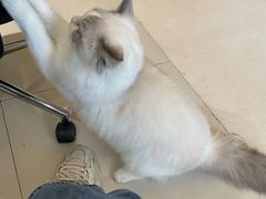 -猫遇摄影工作室