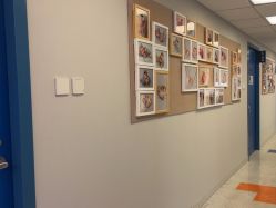 -杭州贝瑞斯美华妇儿医院·早孕·产检·儿科