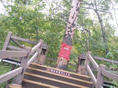 -凤凰山国家森林公园