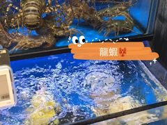 水产区-盒马鲜生(皇庭广场店)