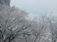 -终南山南五台景区