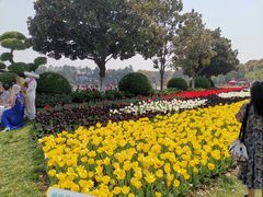 -上海鲜花港