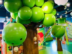 -中国宋庆龄青少年科技文化交流中心