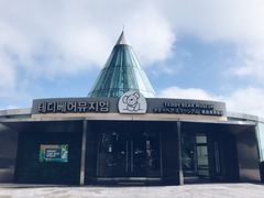 -济州岛泰迪熊博物馆