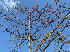 -水濂山森林公园