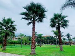 -阳宗海湿地