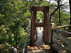 -遂昌金矿国家矿山公园