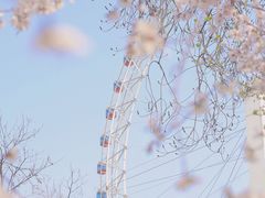 -天津之眼摩天轮